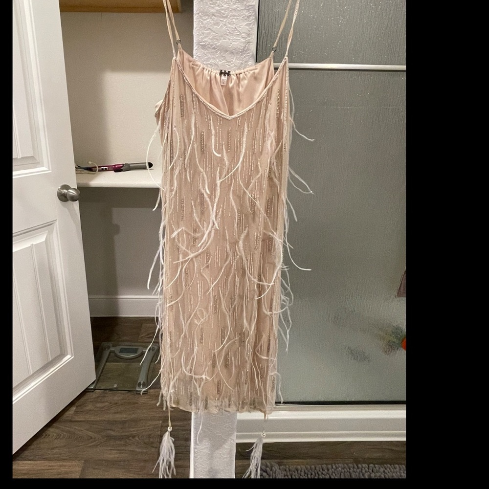 Haute Hippie beaded ostrich feather dress